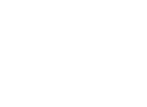 AMA Minerais